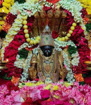 ശുകദേവന്റെ അദ്ഭുതകരമായ ജനനം